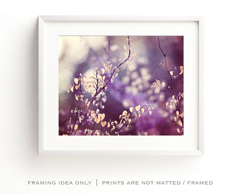 Pu&ograve; includere: Una stampa artistica incorniciata con un primo piano di delicati rami con piccole foglie chiare su uno sfondo morbido e sfocato viola e bianco. La stampa &egrave; in una cornice bianca. Il testo in basso recita "FRAMING IDEA ONLY | PRINTS ARE NOT MATTED / FRAMED".