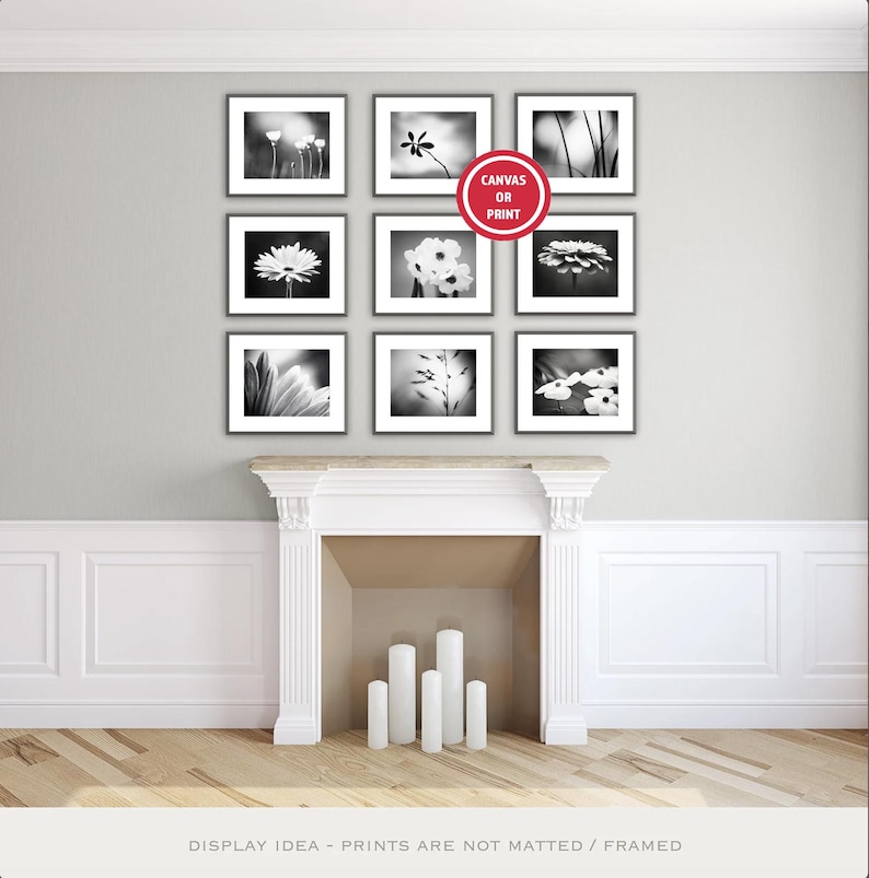 May include: A gallery wall arrangement featuring nine framed black and white floral prints. The prints are displayed above a white fireplace with candles. A red circle with the text "Canvas or Print" is visible.