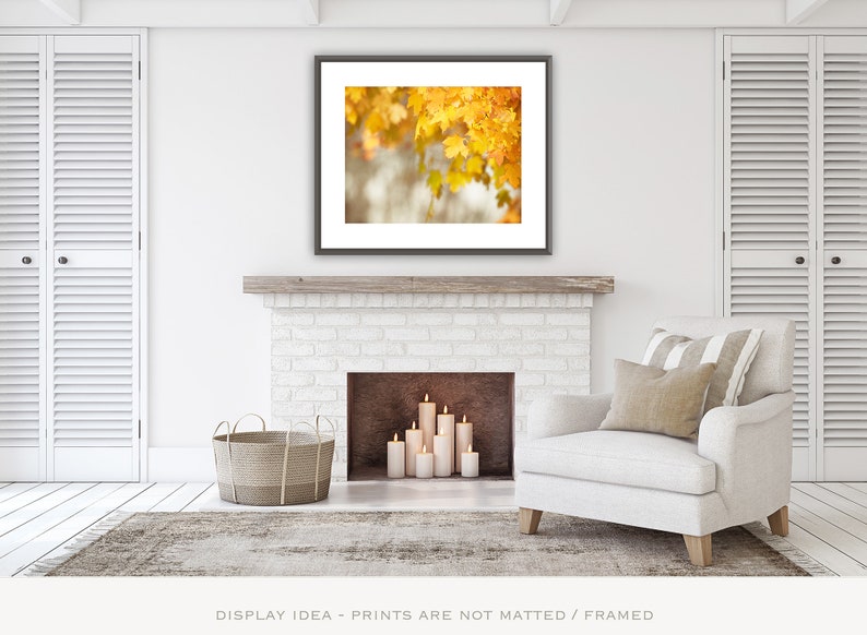 Autumn Leaves Photo, Autumn Artwork, Thanksgiving Decorations, Fall Leaf Art, Yellow Nature Print image 3