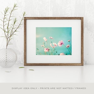 Flower Photography aqua blue pink wall art floral photo pastel decor pale spring nature print white teal 8x10 Photograph, Beauty Upon Us image 6