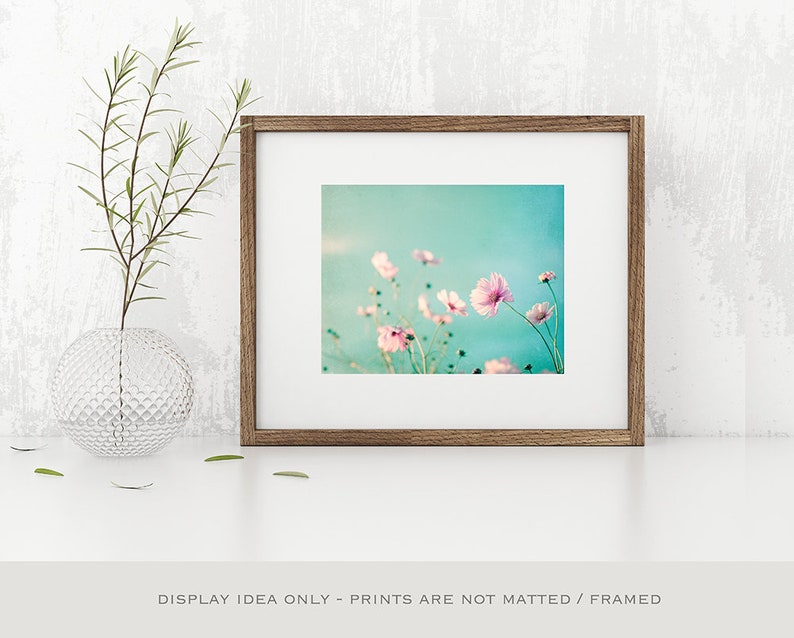 Flower Photography aqua blue pink wall art floral photo pastel decor pale spring nature print white teal 8x10 Photograph, Beauty Upon Us image 6