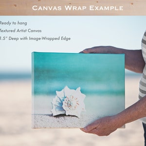 Beach Photography Set aqua blue print ocean seashore coastal wall art seashells clouds water sea photo Four 11x14, 8x10, 5x5 Photograph Canvases - U.S. Only