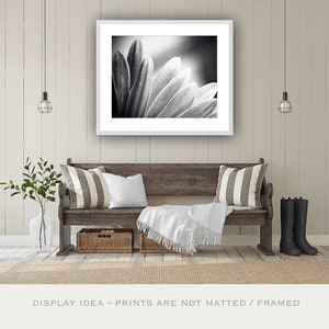 Bedroom Wall Art Over the Bed Black and White Nature Photography, Abstract Prints, Daisy Wall Art, Flower Wall Decor, Modern Print, Grey image 8