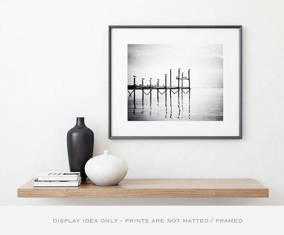 Set of 3 Coastal Wall Art Surf Decor Beach Photography Modern Coastal Art Starfish Black and White Print Set Beach House Decor