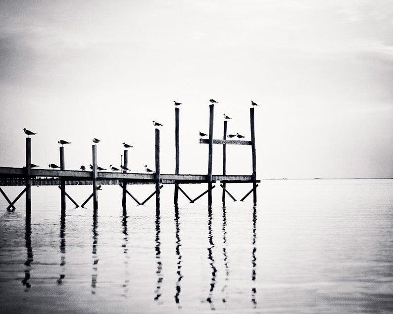 Puede incluir: Fotograf&iacute;a en blanco y negro de un muelle de madera que se extiende hacia aguas tranquilas. Varias aves est&aacute;n posadas en los postes del muelle. El agua refleja el muelle y las aves, creando una imagen sim&eacute;trica bajo un cielo nublado.