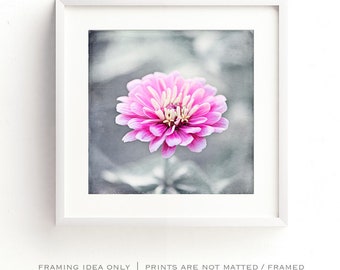 Pink Grey Flower Photography Print, Large Canvas Wall Art, Nursery