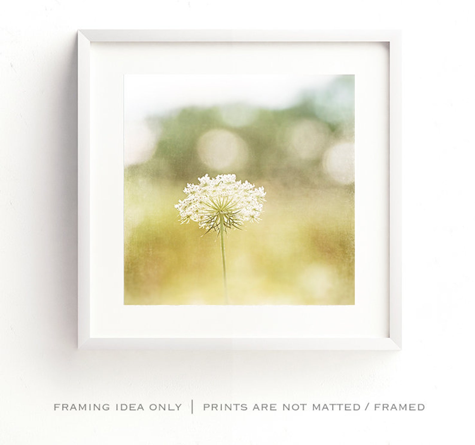 Yellow Large Nature Prints Country Artwork Botanical Photo Etsy