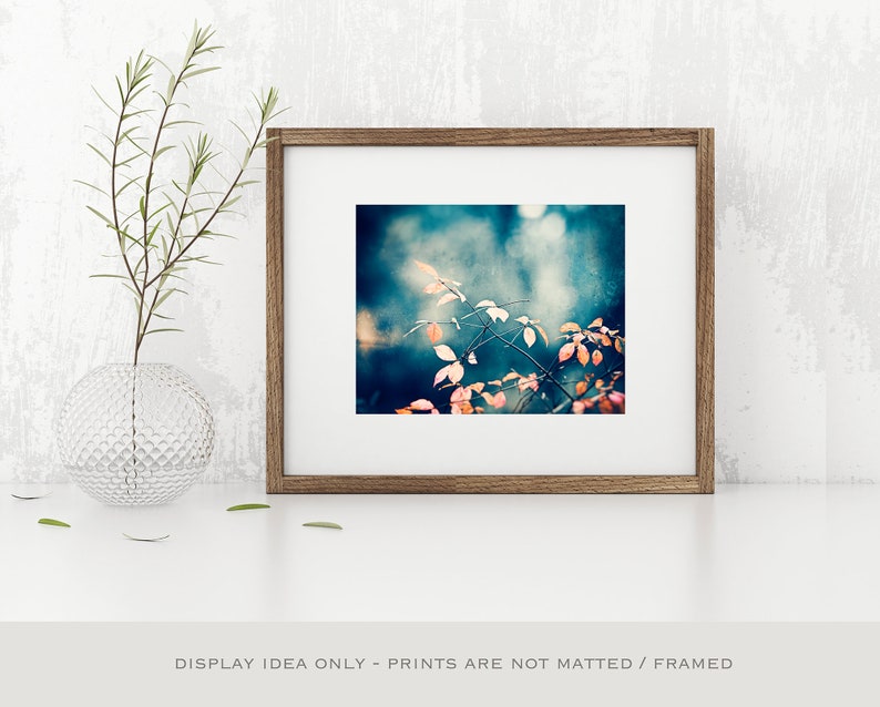 Navy Blue Wall Art Orange Botanical Print Modern Rustic Etsy