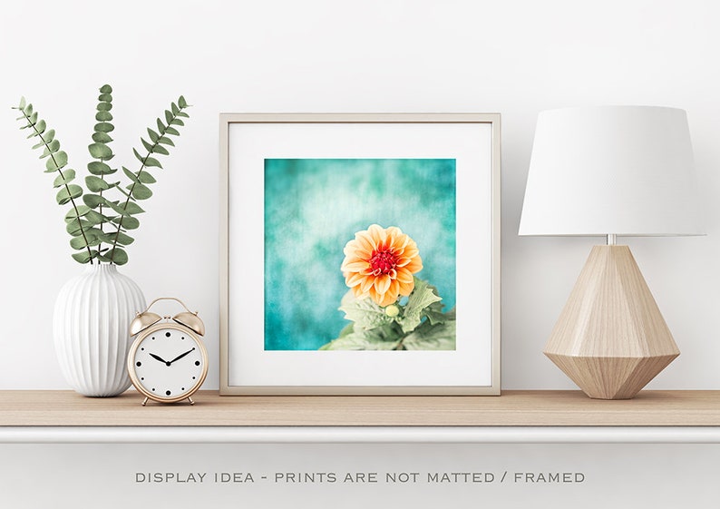 May include: A framed print featuring a close-up of an orange and red dahlia flower against a teal background. The print is displayed on a shelf with a white vase, eucalyptus, a gold alarm clock, and a geometric lamp. The text "DISPLAY IDEA - PRINTS ARE NOT MATTED / FRAMED" is at the bottom.