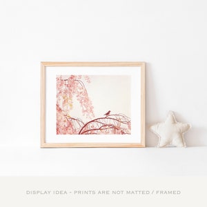 Light Pink Wall Art Bird Photography, Girl Nursery Prints, Girls Bedroom Decor, Nature Photos, Pastel Wall Art, Little Girl Room Decor image 5