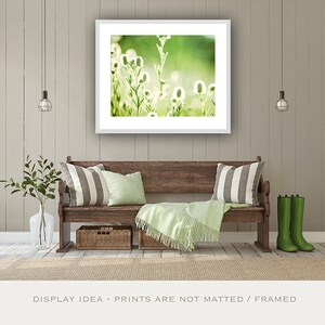 Art Prints Green, Photography Nature Botanical Photo, Rustic Country Home Decor, Modern Farmhouse Prints, Woodland Plant Leaf Photography image 3