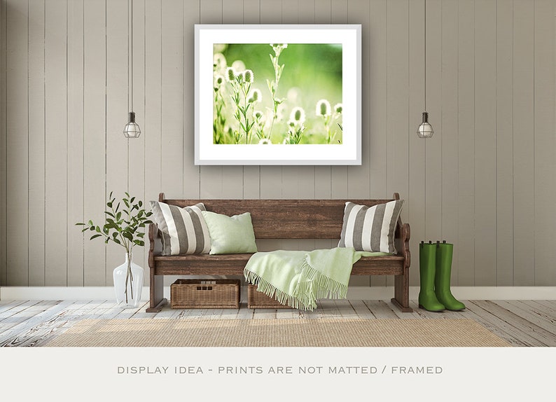 Art Prints Green, Photography Nature Botanical Photo, Rustic Country Home Decor, Modern Farmhouse Prints, Woodland Plant Leaf Photography image 3