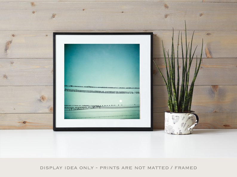 Birds on a Wire Print Nursery Wall Art Boy, Blue Nature Print, Minimalist Photography, Office Wall Art, Modern Home Decor image 6