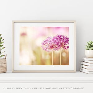 Pink Flower Photography Nature, Girl Nursery, Girls Bedroom Decor Women, Floral Art Print, Botanical Photo, Light Pink Beige Tan image 3