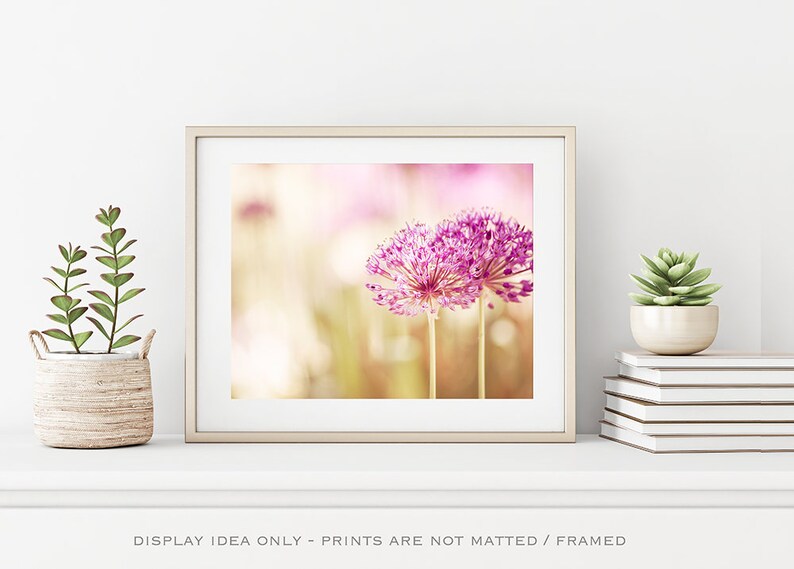 Pink Flower Photography Nature, Girl Nursery, Girls Bedroom Decor Women, Floral Art Print, Botanical Photo, Light Pink Beige Tan image 3