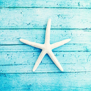 Beach Photography - starfish aqua blue white photo print seashore coastal living cottage decor - 11x14, 8x10 Photograph, "On the Boardwalk"