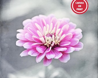 Pink Grey Flower Photography Print, Large Canvas Wall Art, Nursery Wall Art, Nature Wall Decor, Pretty Pink Floral Photograph, 30x30 24x24