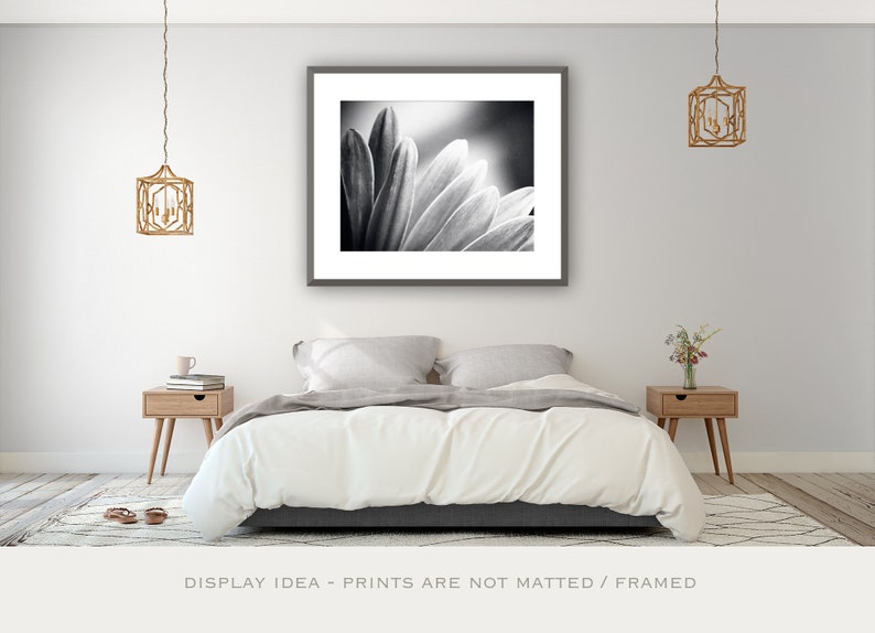 Bedroom Wall Art Over the Bed Black and White Nature Photography, Abstract Prints, Daisy Wall Art, Flower Wall Decor, Modern Print, Grey image 1