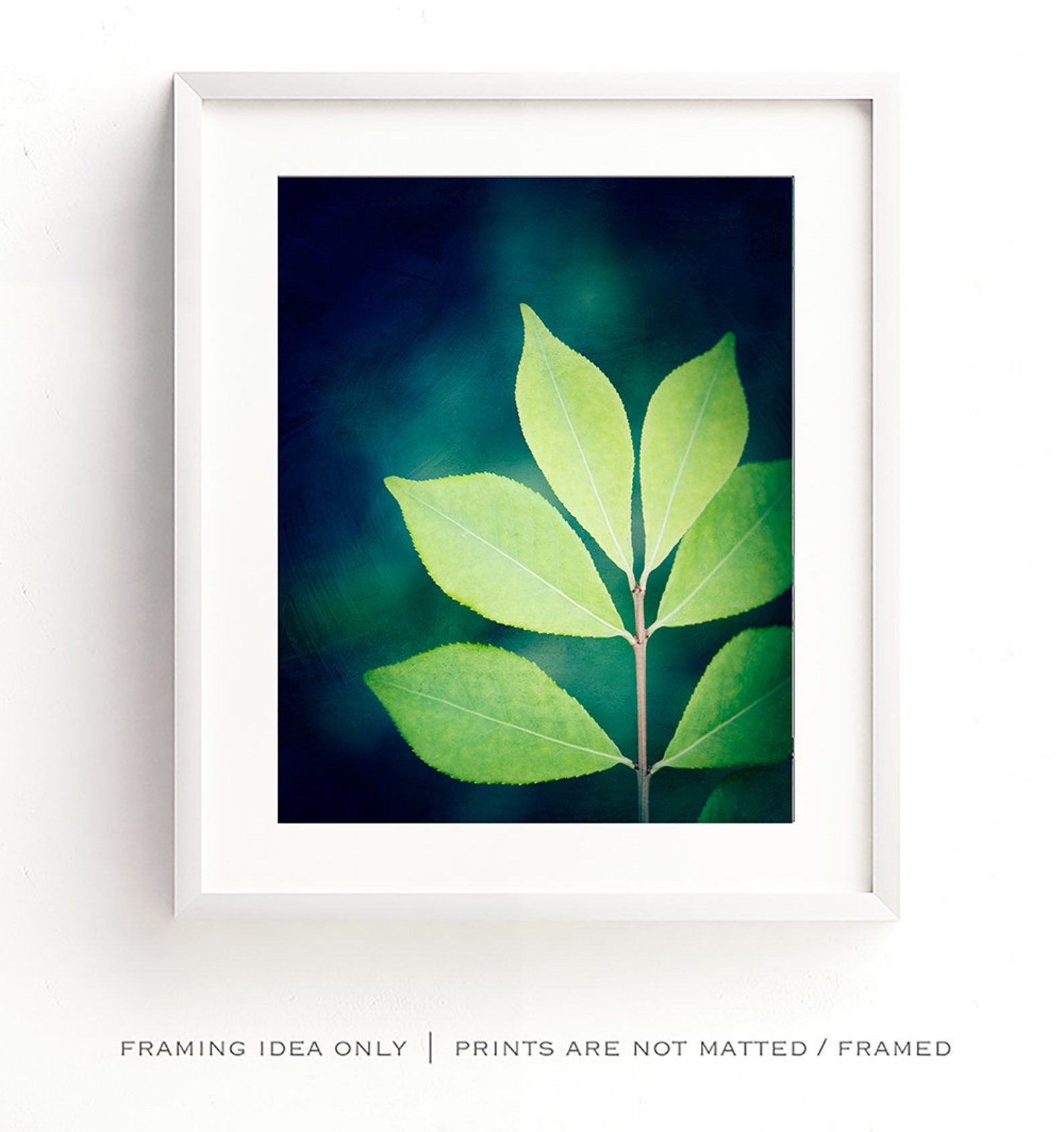 Art Prints Green Botanical Photo Leaf Photography Nature Etsy