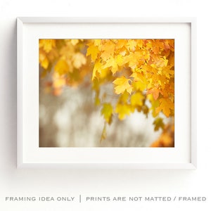 Autumn Leaves Photo, Autumn Artwork, Thanksgiving Decorations, Fall Leaf Art, Yellow Nature Print image 4