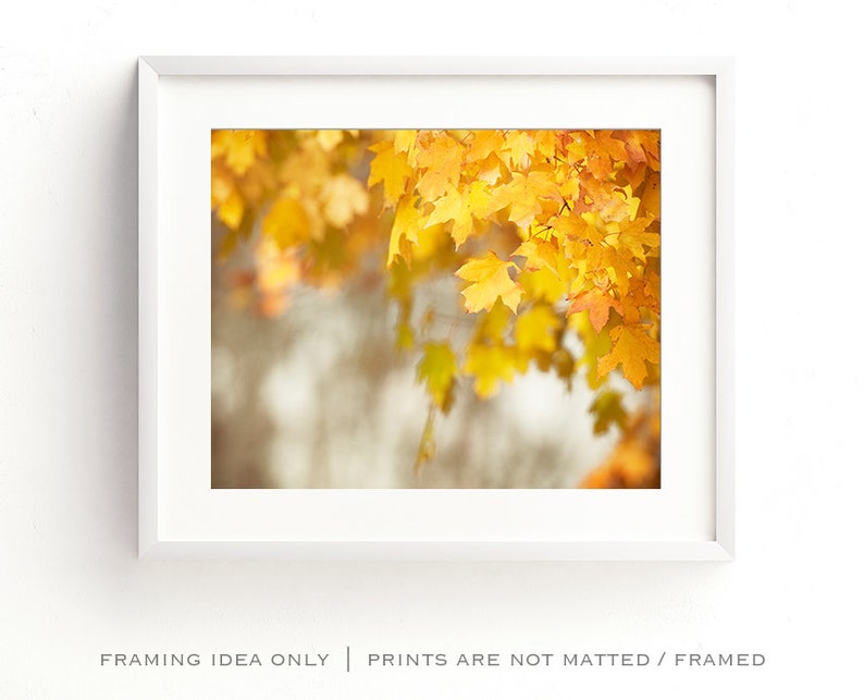 Autumn Leaves Photo, Autumn Artwork, Thanksgiving Decorations, Fall Leaf Art, Yellow Nature Print image 4