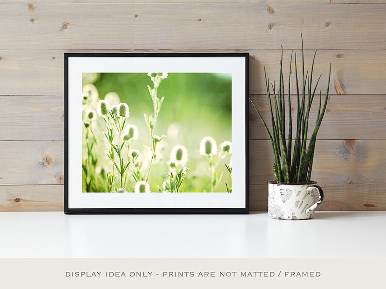 Art Prints Green, Photography Nature Botanical Photo, Rustic Country Home Decor, Modern Farmhouse Prints, Woodland Plant Leaf Photography image 7