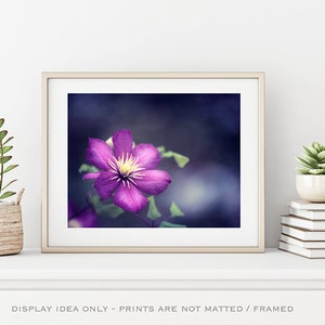 Dark Purple Flower Picture Indigo Art Print, Navy Wall Art, Large Nature Print, Fine Art Photography, Girls Bedroom Decor, Floral Photo image 5