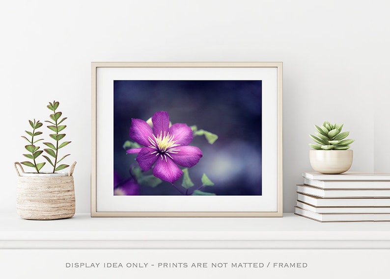 Dark Purple Flower Picture Indigo Art Print, Navy Wall Art, Large Nature Print, Fine Art Photography, Girls Bedroom Decor, Floral Photo image 5