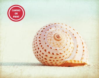 Seashell Beach Art Print, Peach & Mint Coastal Decor