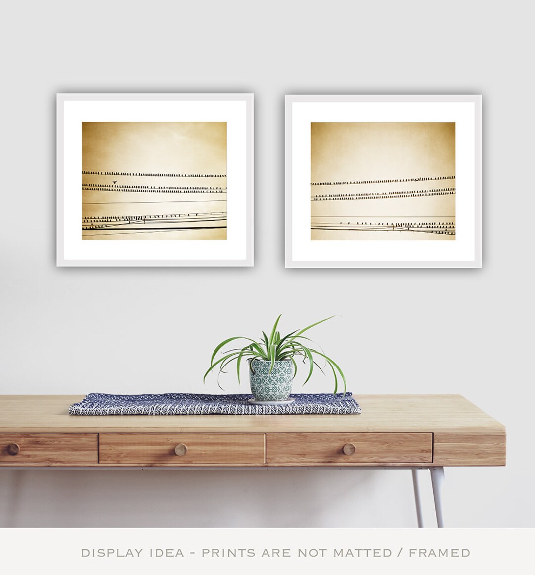 2 Piece Wall Art Bird Prints Set Matching Wall Art Modern Etsy