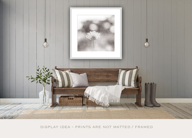 Above Bed Art Black and White Nature Photography Botanical Etsy