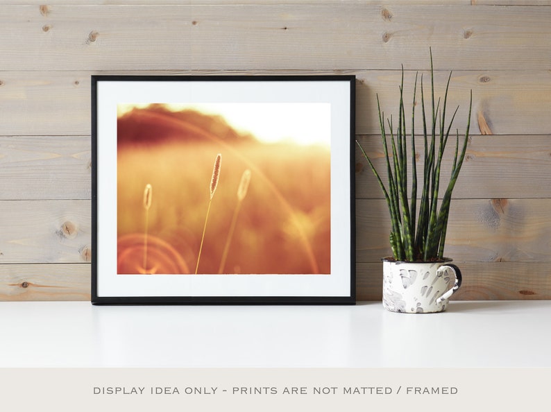 May include: Framed print of a sunlit field with tall grass. The image has a warm, golden color palette. A potted snake plant in a decorative black and white speckled pot sits to the right of the framed print.