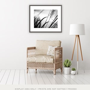 Black and White Nature Photography Botanical Print, Modern Wall Art, Grey Wall Decor, Original Artwork Abstract, Prints for Framing image 6