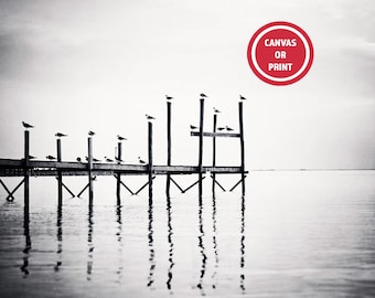 Black and White Beach Print – Seagulls on Dock Photography - Coastal Wall Art Photo