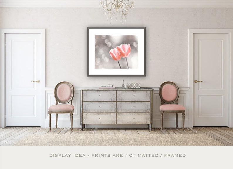 Peach Grey Photography Peach Nursery Wall Decor Light Peach Etsy