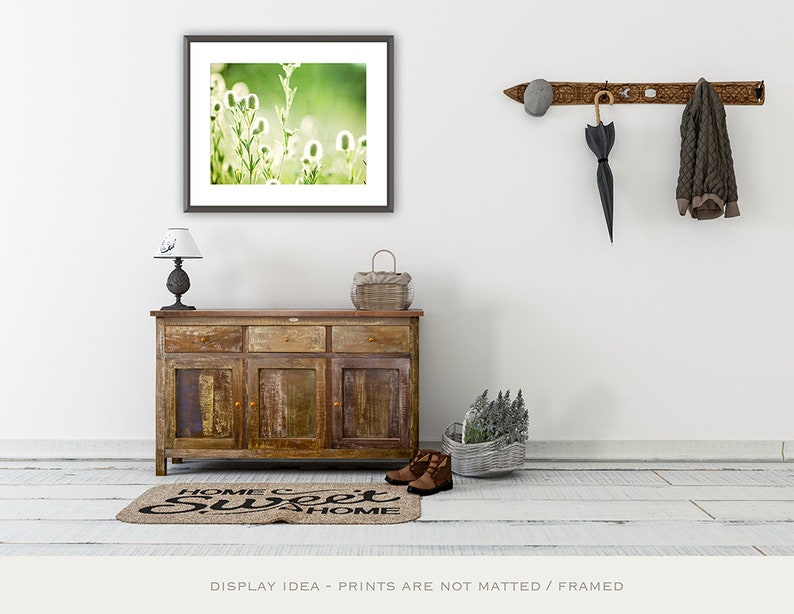 Art Prints Green, Photography Nature Botanical Photo, Rustic Country Home Decor, Modern Farmhouse Prints, Woodland Plant Leaf Photography image 5