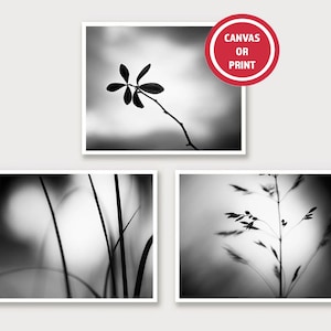 Black and White Nature Photography Print Set or Botanical Canvas Gallery Wall Art Set on Etsy