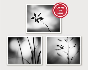 Botanical Prints Wall Art (Set of 3) Black White Photography Prints, Moody Artwork Sets, Chic Modern Living Room Art, Charcoal Wall Grouping