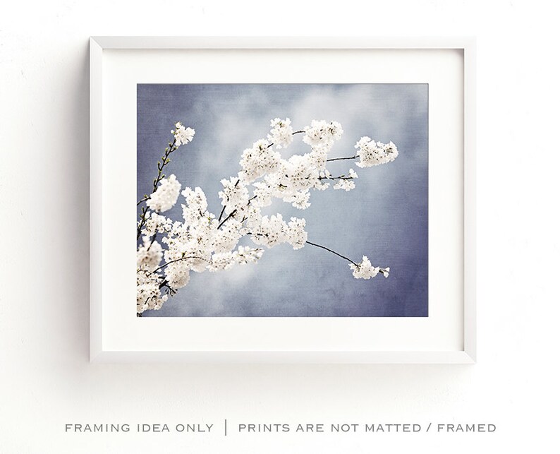 Floral Photography light steel blue white nursery grey gray branch spring wall print flower blossom nature photograph, Autograph of Angels image 4