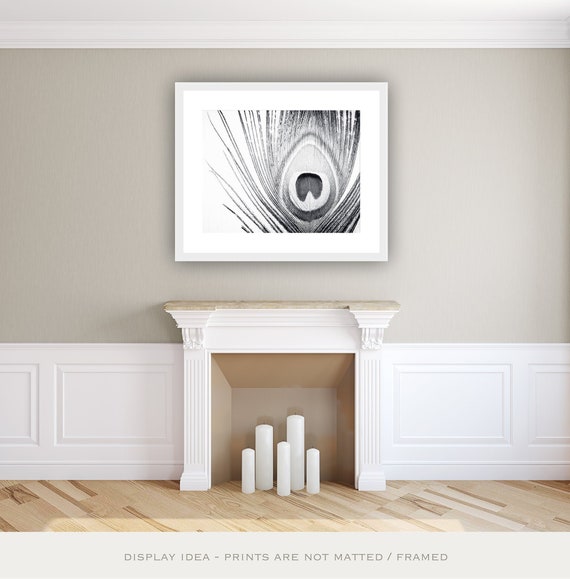 Pfau Wand Kunst Schwarz Und Weiss Naturfotografie Moderne Etsy