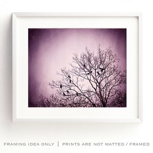 Purple Wall Art birds tree black dark wall art pink nature photo branches print modern decor 8x10 Photograph, Little Birds of the Night image 3