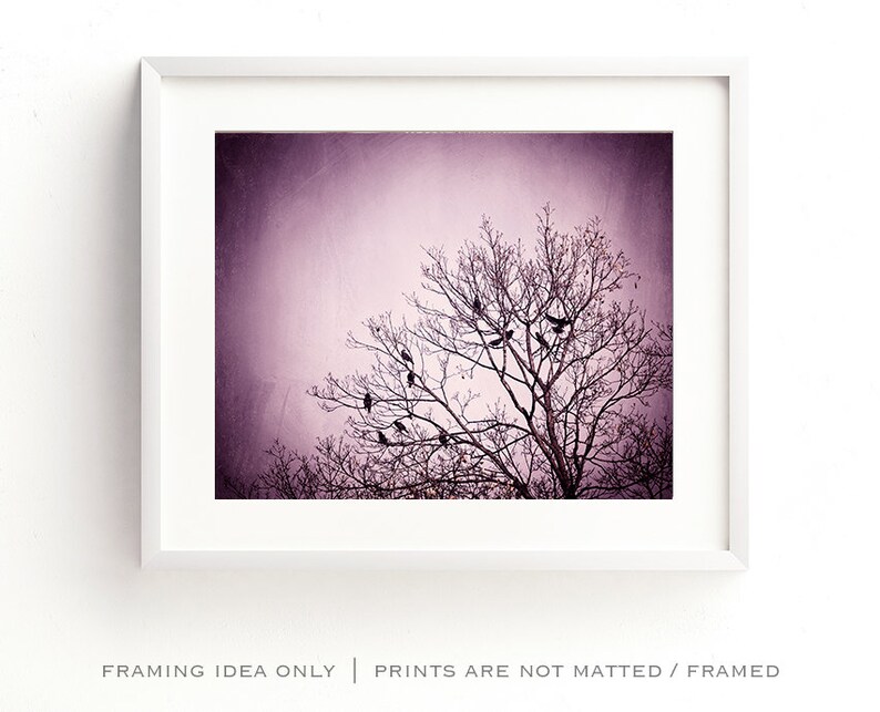 Purple Wall Art birds tree black dark wall art pink nature photo branches print modern decor 8x10 Photograph, Little Birds of the Night image 3