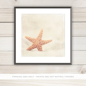 Starfish Wall Decor Seashell Print Large Beach Wall Art, Shabby Chic Beach Decor, Sea Shell Art, Coastal Wall Art in Neutral, Beige, Cream image 5