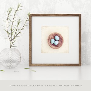 Farmhouse Photography Bird Eggs Print Country Artwork, Modern Rustic Decor, Robins Egg Blue Decor, Large Nature Prints, Cream Beige Brown image 8