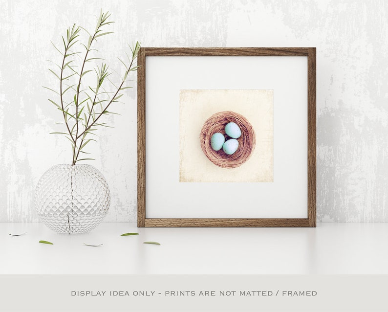 Farmhouse Photography Bird Eggs Print Country Artwork, Modern Rustic Decor, Robins Egg Blue Decor, Large Nature Prints, Cream Beige Brown image 8