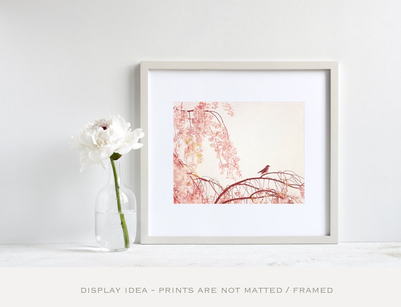 Light Pink Wall Art Bird Photography, Girl Nursery Prints, Girls Bedroom Decor, Nature Photos, Pastel Wall Art, Little Girl Room Decor image 1