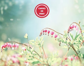 Floral Wall Art, Bleeding Heart Flower Photography Print or Canvas, Blue Green Pink, Girly Nursery Wall Art, Nature Wall Art, Dreamy Spring