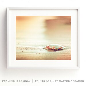 Seashell Print Beach Artwork Modern Coastal Decor, Shell Wall Art, Beach Photography in Gold, Peach, Orange, Beige, Cream image 5