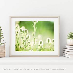 Pode incluir: Uma impress&atilde;o emoldurada com um close-up de flores silvestres brancas em um fundo verde suave. A imagem est&aacute; em uma moldura dourada e &eacute; exibida em uma prateleira branca com plantas decorativas. O texto na parte inferior diz "DISPLAY IDEA ONLY - PRINTS ARE NOT MATTED / FRAMED."