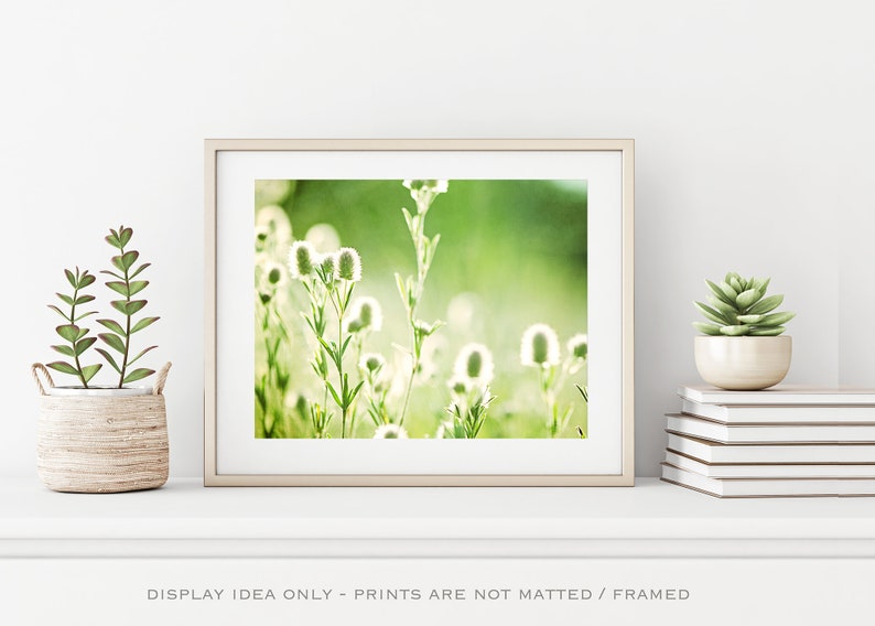 Pode incluir: Uma impress&atilde;o emoldurada com um close-up de flores silvestres brancas em um fundo verde suave. A imagem est&aacute; em uma moldura dourada e &eacute; exibida em uma prateleira branca com plantas decorativas. O texto na parte inferior diz "DISPLAY IDEA ONLY - PRINTS ARE NOT MATTED / FRAMED."